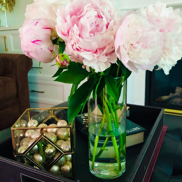 Meet your Posher, Alison - Picture 2 of 3